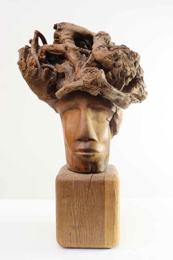 Image 1 of Martiene Stevens - die Gekrönte