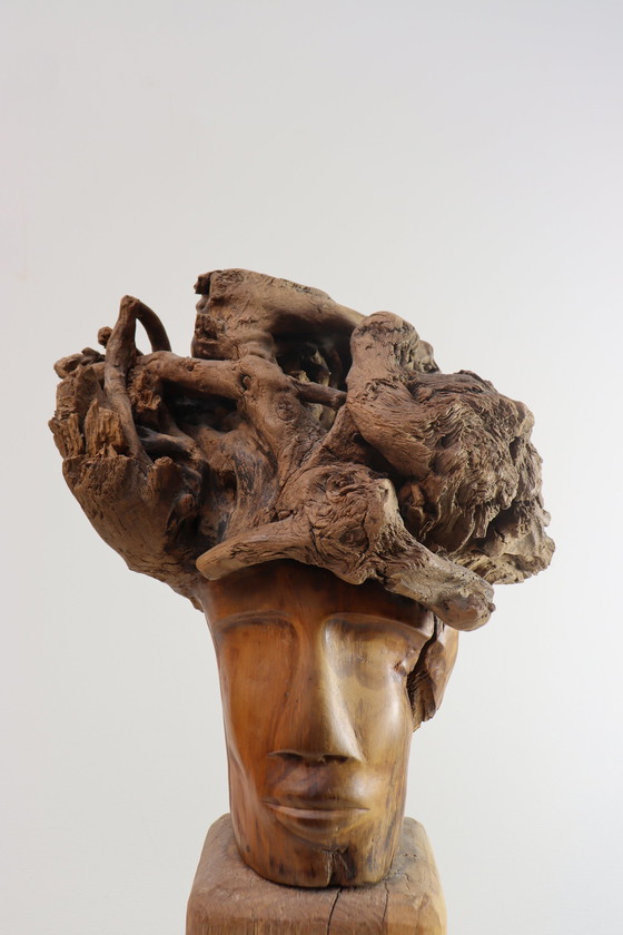 Image 1 of Martiene Stevens - die Gekrönte