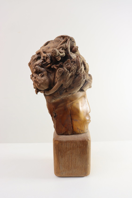 Image 1 of Martiene Stevens - die Gekrönte