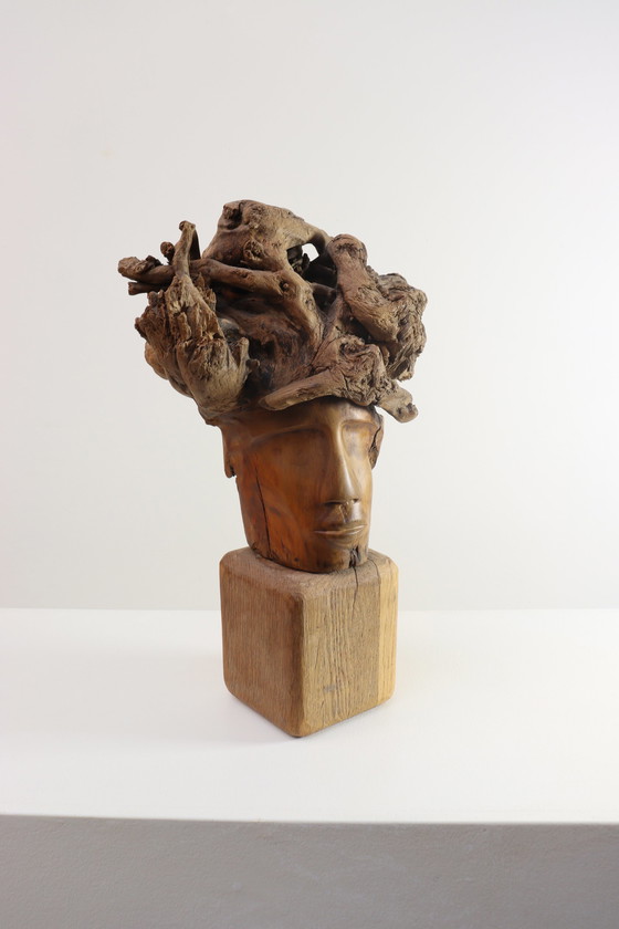 Image 1 of Martiene Stevens - die Gekrönte