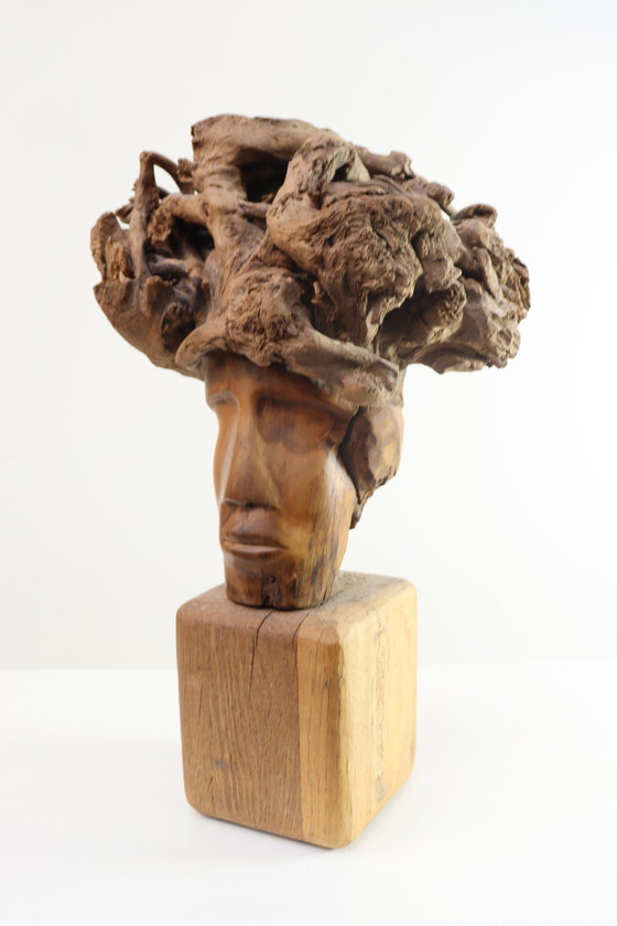 Image 1 of Martiene Stevens - die Gekrönte