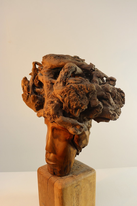 Image 1 of Martiene Stevens - die Gekrönte