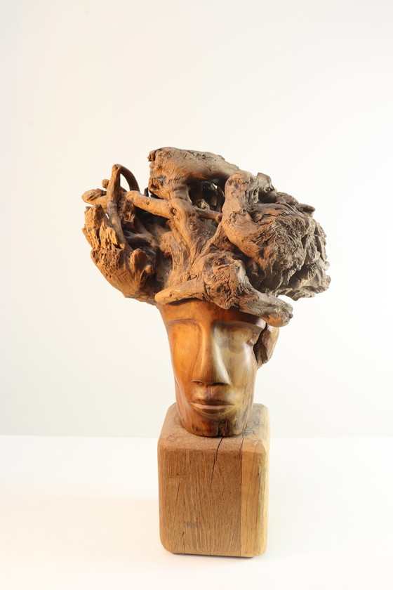 Image 1 of Martiene Stevens - die Gekrönte