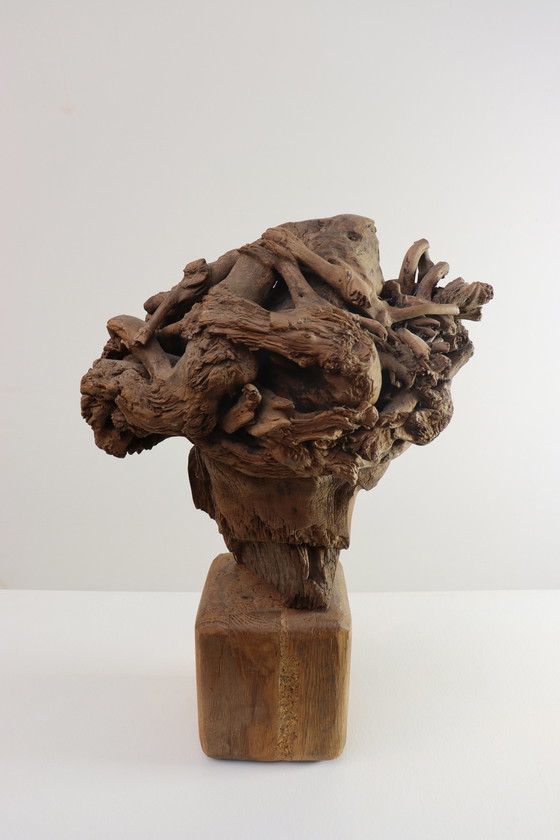 Image 1 of Martiene Stevens - die Gekrönte