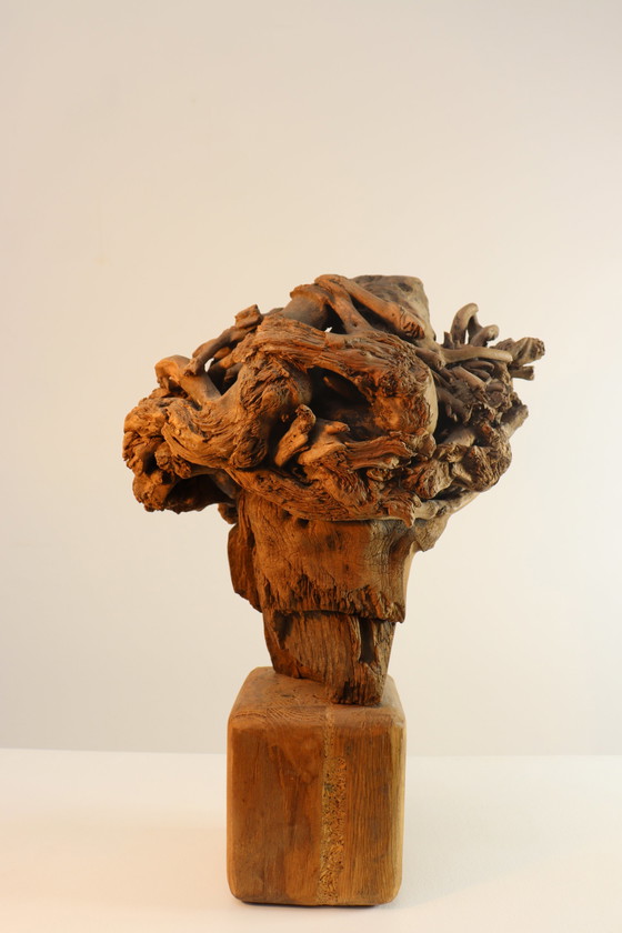 Image 1 of Martiene Stevens - die Gekrönte