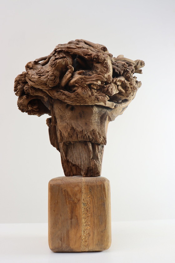 Image 1 of Martiene Stevens - die Gekrönte