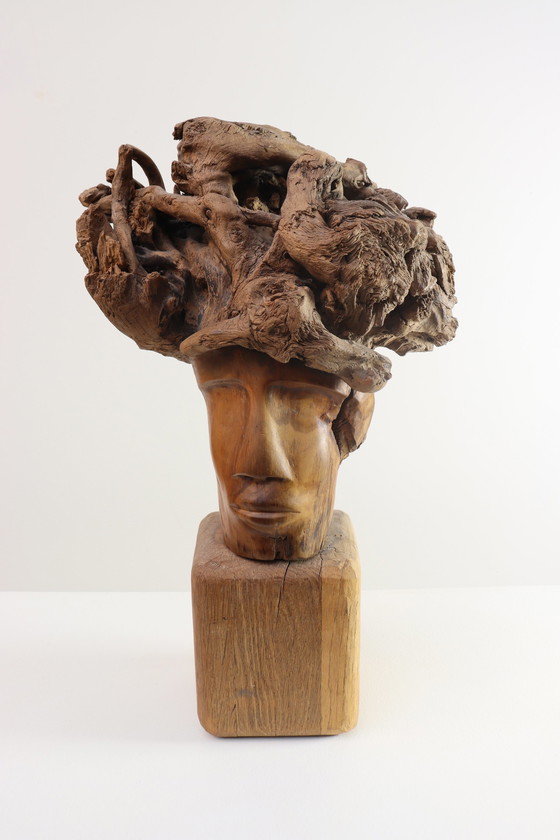 Image 1 of Martiene Stevens - die Gekrönte