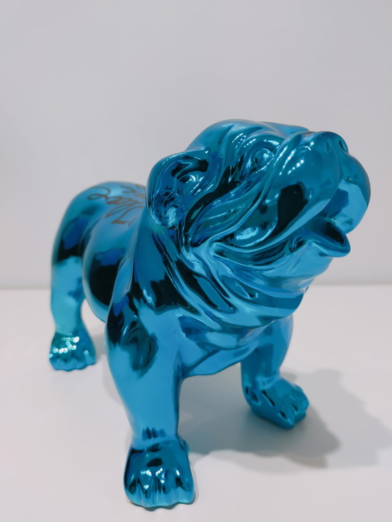 Image 1 of Hannes D'Haese - Englische Bulldogge