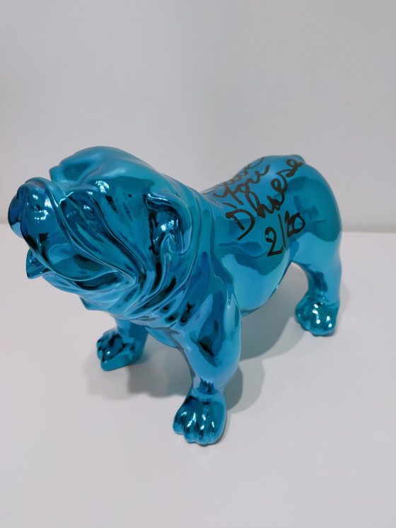 Image 1 of Hannes D'Haese - Englische Bulldogge