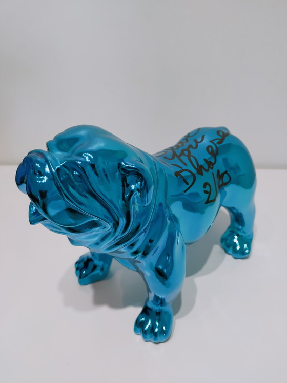 Image 1 of Hannes D'Haese - Englische Bulldogge