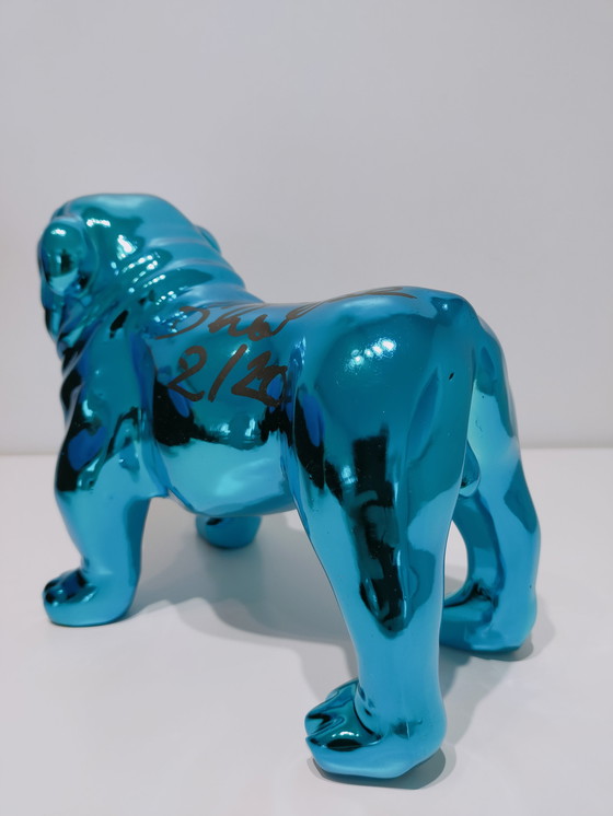 Image 1 of Hannes D'Haese - Englische Bulldogge