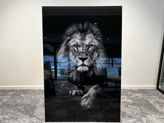 Image 1 of Wanddekoration „Der König der Tiere“.