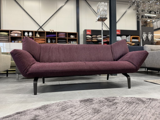 Leolux Devon 2,5-Sitzer Sofa Stoff