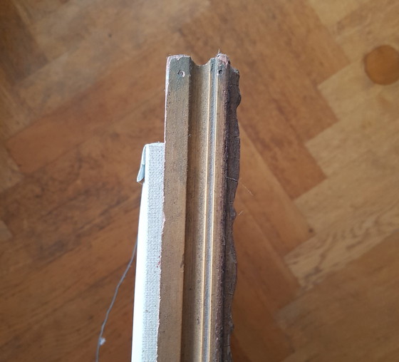 Image 1 of Aone Postma - Tanzen mit Kaninchen