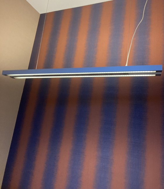 Image 1 of Ayal Rosin 2054