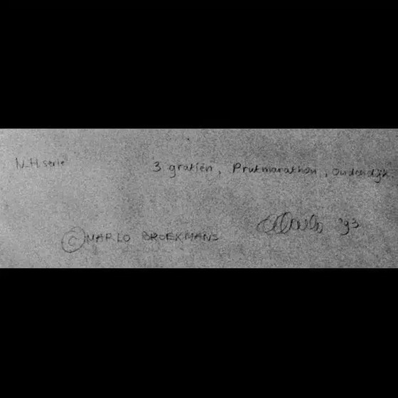 Image 1 of Marlo Broekmans Foto-Gelatineabzug „Drei Grazien“.