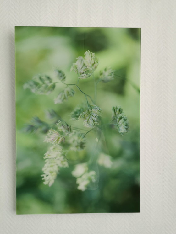 Image 1 of Byldwurk Fotografie