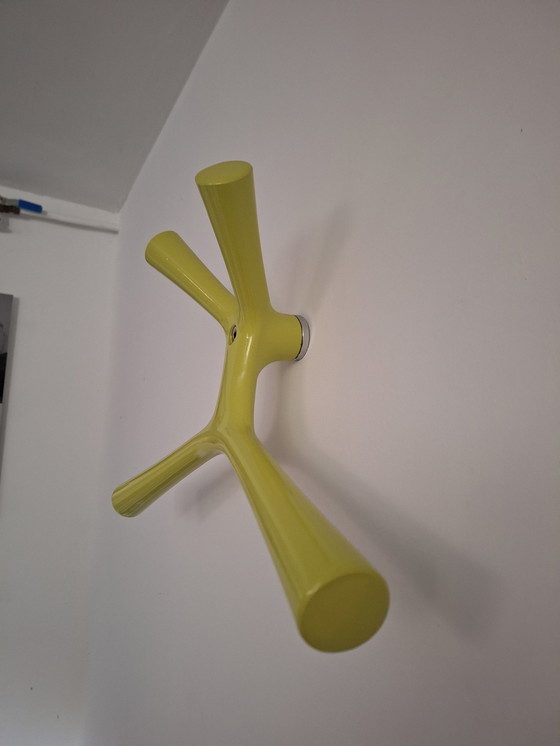 Image 1 of Cascando -Känguru