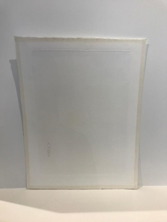 Image 1 of Guillaume Le Roy - Grafiek