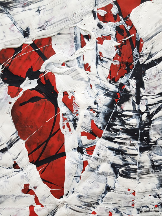 Image 1 of Jürgen Angeler - The Shield