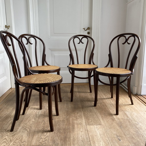 4x Thonet no. 16 Stuhl von Romania