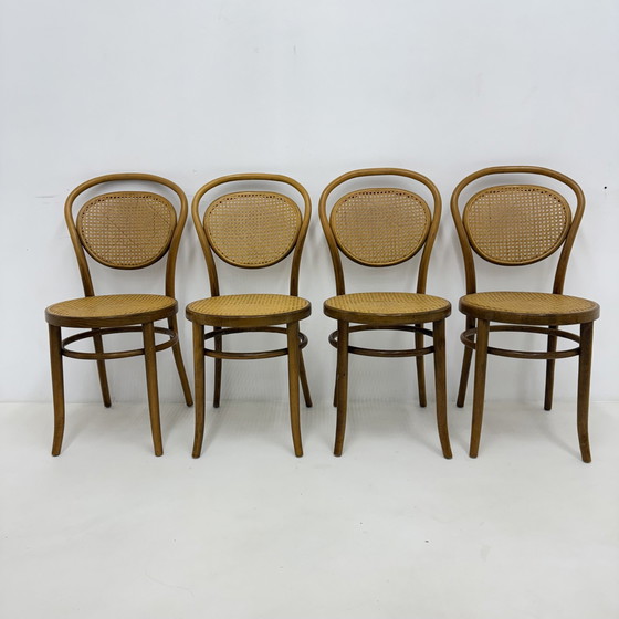 Image 1 of Satz von 4 Bugholz Gurtband Esszimmer / Bistro Stühle , 1960S
