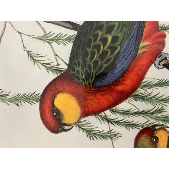 Image 1 of Klassische Lithographie von Gould und Richter