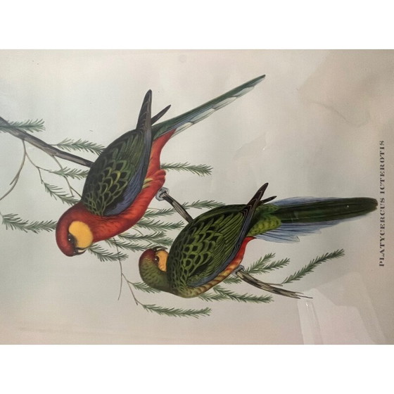 Image 1 of Klassische Lithographie von Gould und Richter