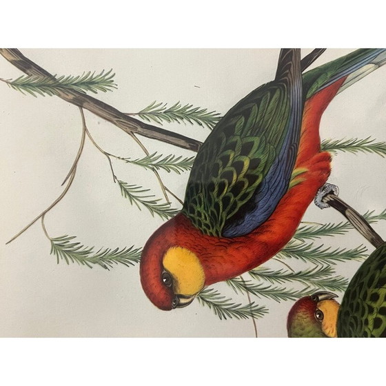 Image 1 of Klassische Lithographie von Gould und Richter