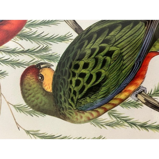 Image 1 of Klassische Lithographie von Gould und Richter