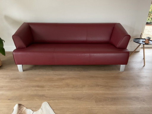 Rolf Benz 2300 3-Sitzer-Sofa