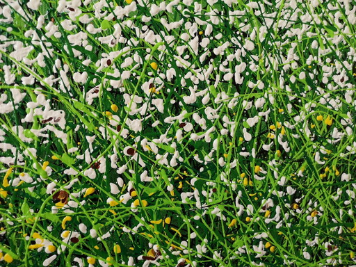 Giovanni Daurea - Floreale (einzigartiges Gemälde)