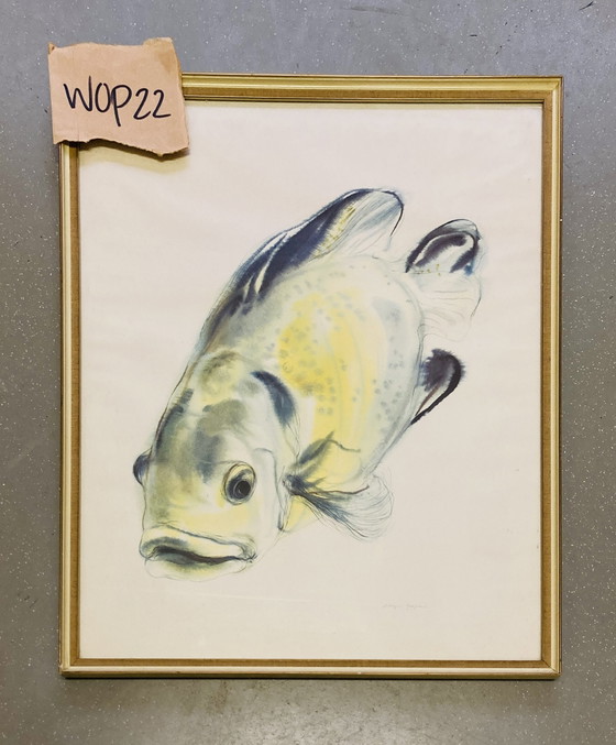 Image 1 of Klaus Meyer-Gasters - Vintage Aquarell Druck Fisch - Mit Rahmen