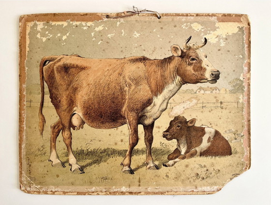 Image 1 of Antik School Chart Illustration, doppelseitig, Pferd/Fohlen und Kuh/Kalb, Lithographie, Farmlife, Shabby Chic