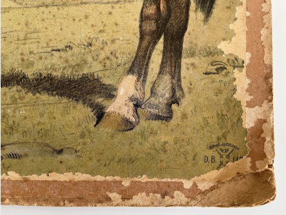 Image 1 of Antik School Chart Illustration, doppelseitig, Pferd/Fohlen und Kuh/Kalb, Lithographie, Farmlife, Shabby Chic