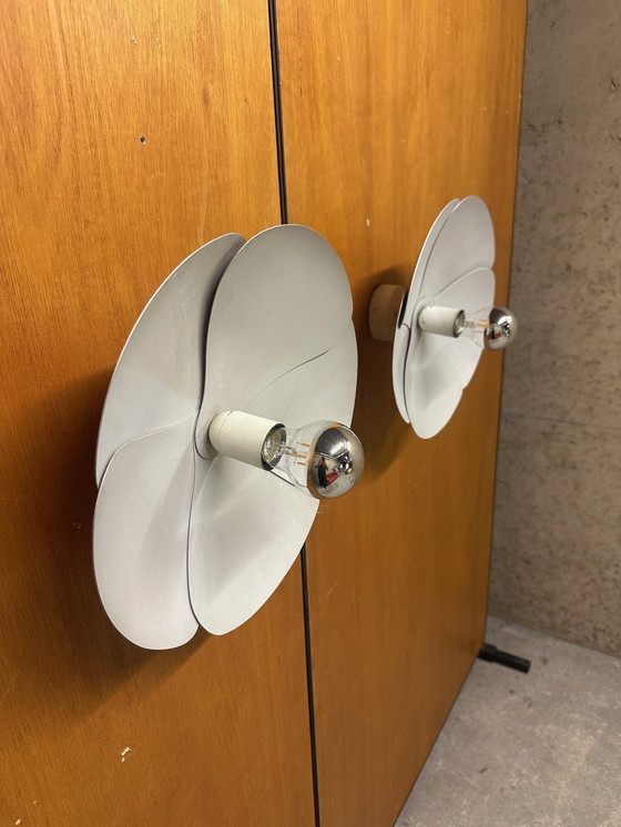 Image 1 of Paar Wandleuchten Fleur D'Olivier Mourgue