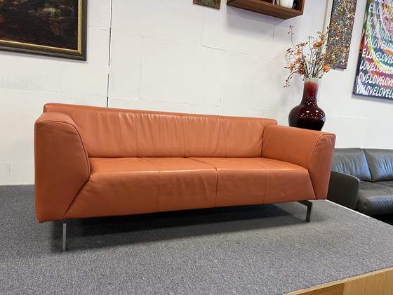 Image 1 of Rolf Benz Linea Sofa Terra Leder