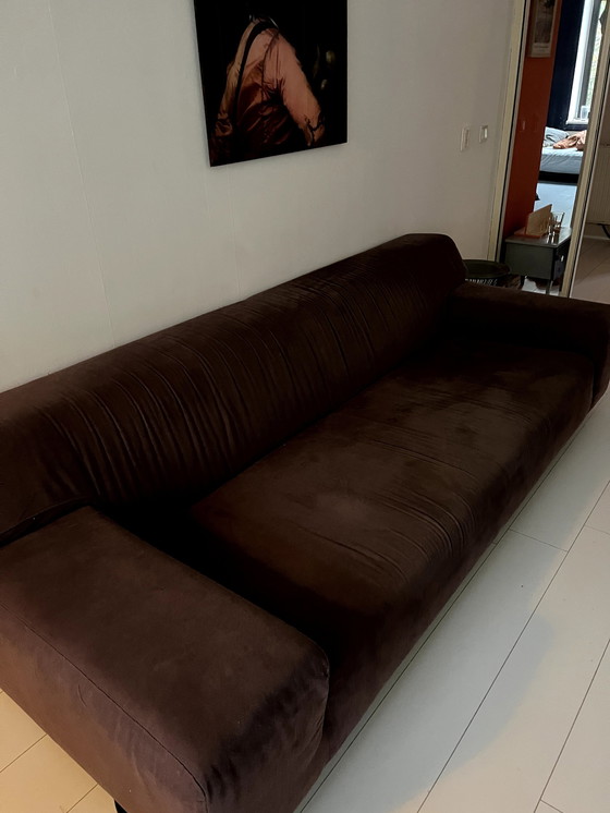 Image 1 of Minotti 3.5 sitzt in Calucci Cr6028-80