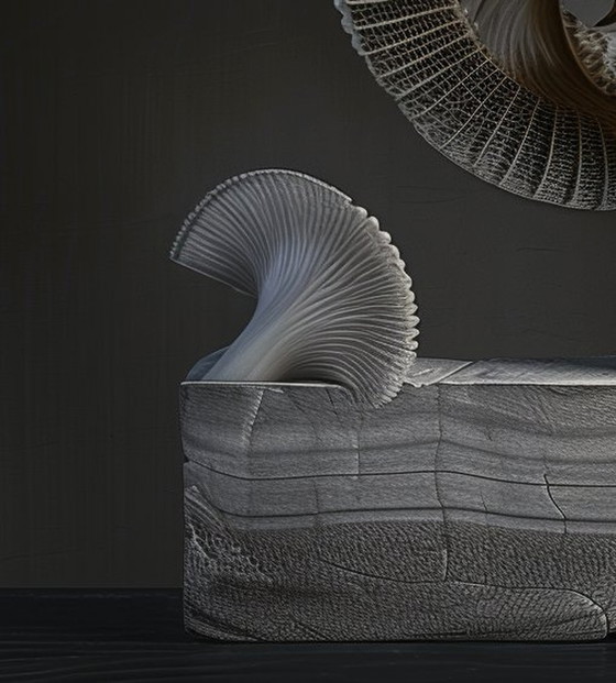 Image 1 of Preiswertes Einzelstück - Benoit Mandelbrots Stillleben: Perlmutt-Spirale