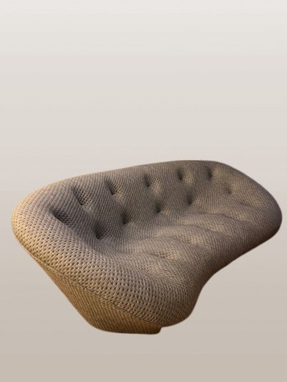 Image 1 of Ligne Roset E & B Ploum Canapé & Pouf