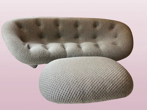 Ligne Roset E & B Ploum Canapé & Pouf