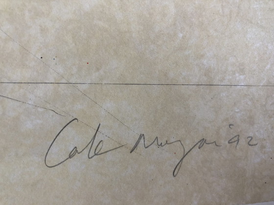 Image 1 of Cole Morgan Hüfthand