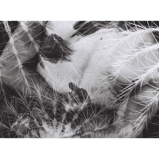 Image 1 of Vintage painting Natural Movements 12 von Meïdhy Bichon, 2019