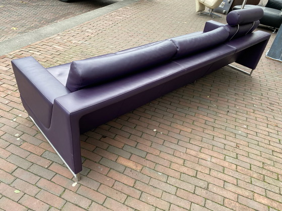 Image 1 of Leolux Cuno Sofa Lila Leder 290