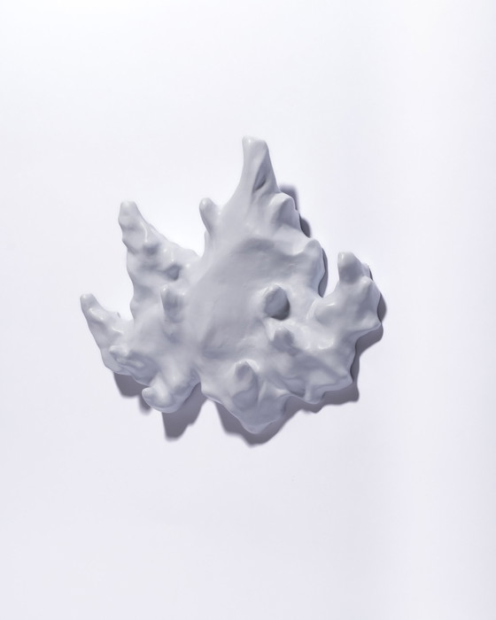 Image 1 of Gert Wessels – Rosa Saker