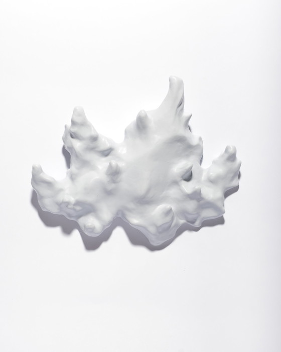 Image 1 of Gert Wessels – Rosa Saker