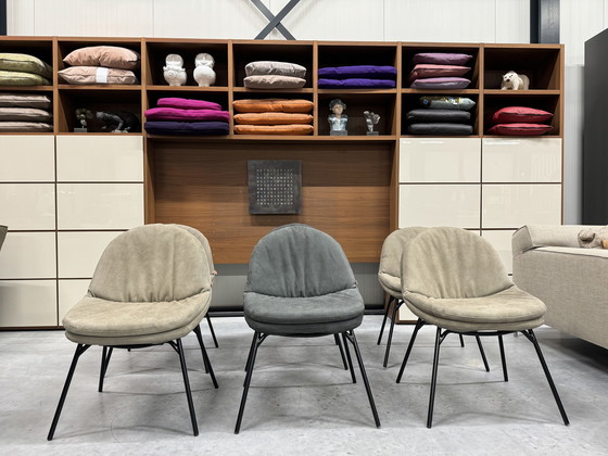 Image 1 of 6 Jess Design Curtis Esszimmerstuhl Leder