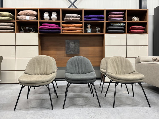 Image 1 of 6 Jess Design Curtis Esszimmerstuhl Leder