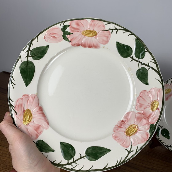 Image 1 of Satz von 5 flachen Tellern Villeroy & Boch "Wild Rose" Service, 1970