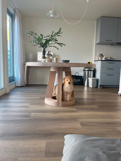 Remy Meijers Odesi fest